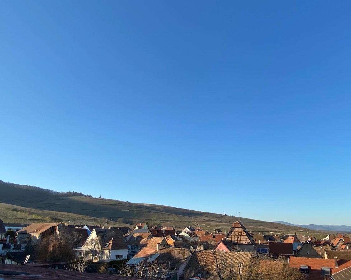 Duplex Le 12 - Appartement Avec Terrasse Dans Le Vignoble - 5 Mn Du Centre De Colmar Wettolsheim Exterior photo